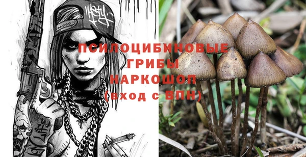 синтетический гашиш Балахна