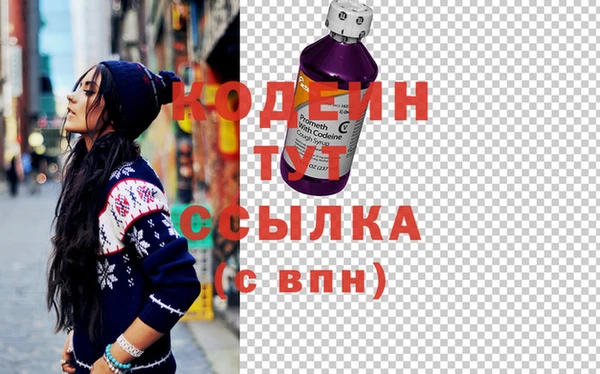 индика Каменногорск
