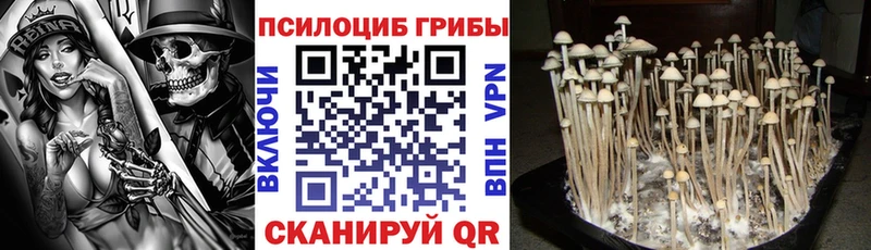 Галлюциногенные грибы Cubensis  Афипский 